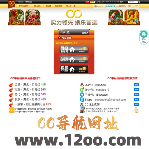  CC集团